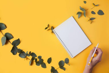 Okaliptüs yaprakları ve bir defter, bir kadın eli kalemle yazar. Sarı arkaplan, metin alanı, kopyalama alanı.