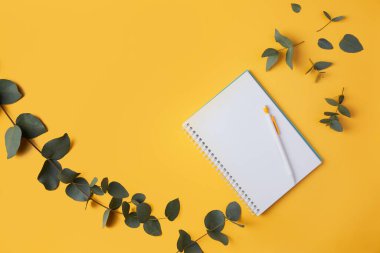 Okaliptüs yaprakları ve sarı arka planda bir kalemle birlikte bir defter. Metin ve metin boşluğu için yer.