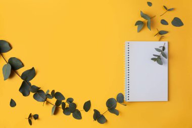 Okaliptüs yaprakları ve sarı arka planda bir kalemle birlikte bir defter. Metin ve metin boşluğu için yer.