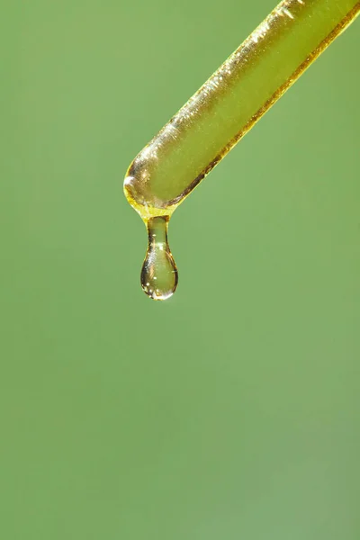 A drop of cosmetic aromatic oil drips from the pipette. — Stock Photo, Image
