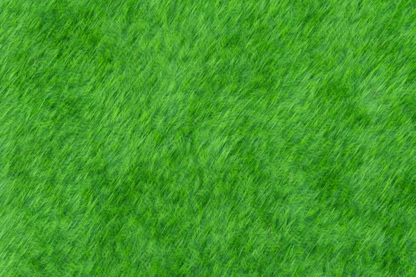 Suddig Bild Grönt Gräs Fotbollsplan Det Riktigt Gräs Eller Falska — Stockfoto