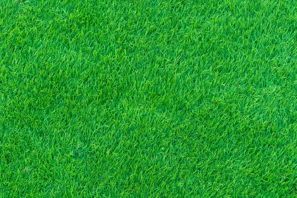 Green Grass Park Taken Can Artificial Grass Sports Field Background — Zdjęcie stockowe