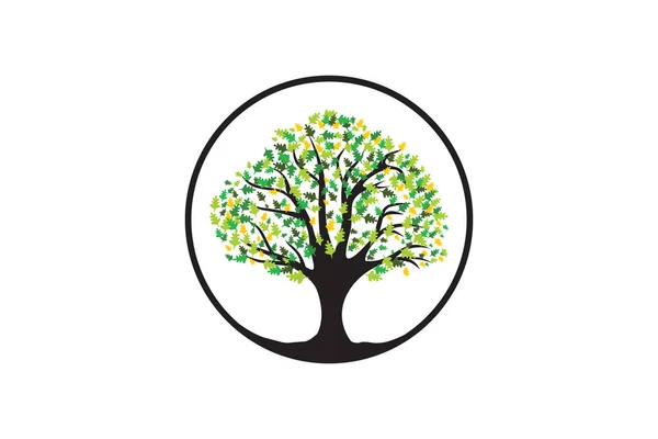 Logotipo Árvore Criativa Vetor Design Forma Redonda —  Vetores de Stock
