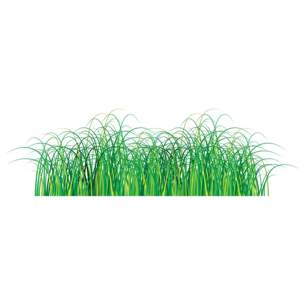 Isolated green grass side view. — Vetor de Stock