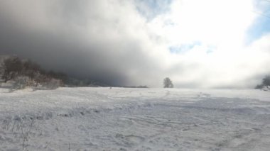 Kışın donmuş ormanı tarıyor. Yüksek kalite 4k görüntü