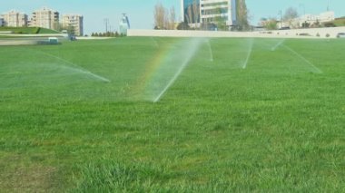 Otomatik sulama ya da çim sulama. Çim fıskiyesi. Yüksek kalite 4k görüntü