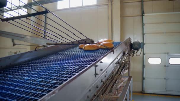 Broodbakkerij Voedselfabriek Bloedingen Transportband Hoge Kwaliteit Beeldmateriaal — Stockvideo
