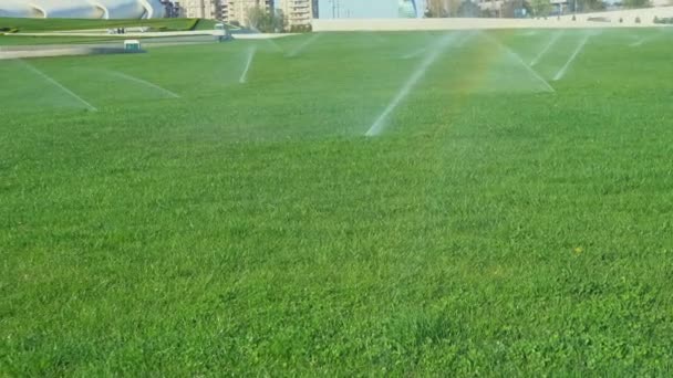 Arrosage Irrigation Automatique Herbe Arroseur Pelouse Images Haute Qualité — Video