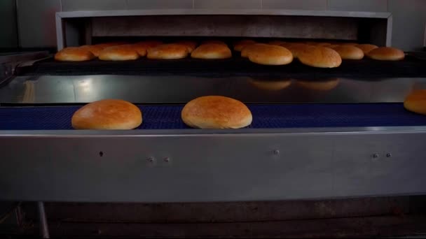 Pão Padaria Fábrica Alimentos Pães Transportador Imagens Alta Qualidade — Vídeo de Stock