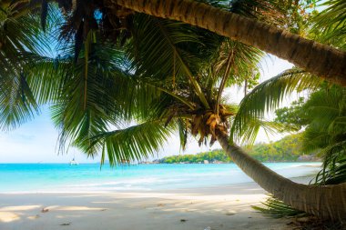 Anse Lazio - Seyşeller 'in en güzel plajı. Praslin, Seyşeller