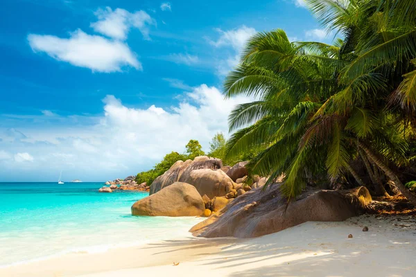 Anse Lazio - la plus belle plage des Seychelles. Praslin, Seychelles Photos De Stock Libres De Droits
