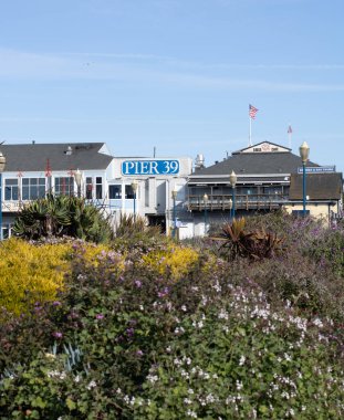 San Francisco, CA USA - 25 Şubat 2020: Ön tarafında ticari binalar ve kır çiçekleri bulunan Rıhtım 39 tabelasına yakından bakın