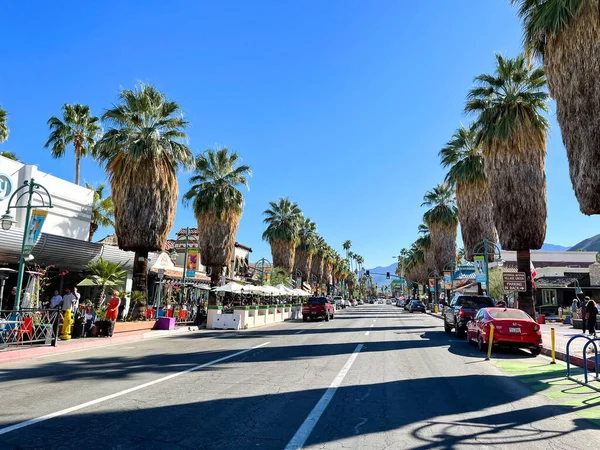 カリフォルニア州パームスプリングス2022年2月24日 ヤシの木 車両が並ぶパームスプリングス市の道路脇の景色 — ストック写真