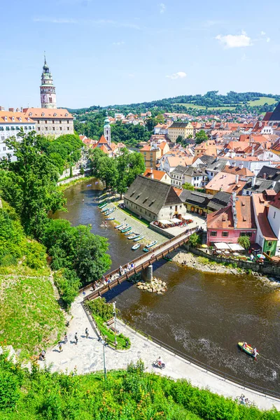 Bahçedeki sarı ayçiçeği