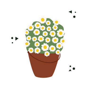 Kovaya konmuş papatya çayı. Düz vektör illüstrasyonu