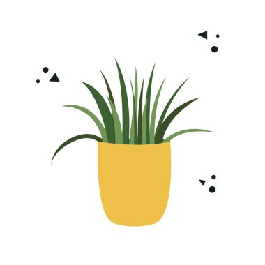 Beyaz bir arka planda izole edilmiş bir saksının içindeki Dracaena. Saksıda çiçek olan bir kartpostal. Düz vektör illüstrasyonu