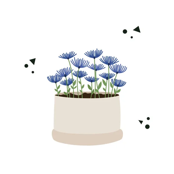 Кукурудзяні Квіти Вазоні Ізольовані Білому Тлі Листівка Квіткою Горщиках Плоска — стоковий вектор