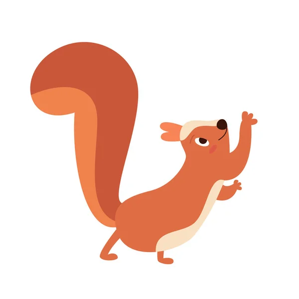 Das Süße Eichhörnchen Grimasst Und Springt Vektorflache Illustration — Stockvektor