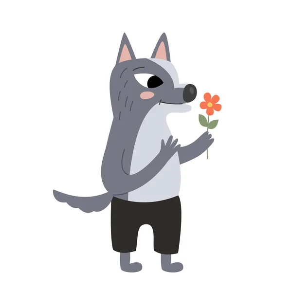 Gray Romantic Character Wolf Flower Its Paws — Stock Vector
