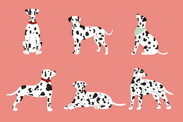 Set of cute white spotted Dalmatian dogs on a pink background — Stock Vector