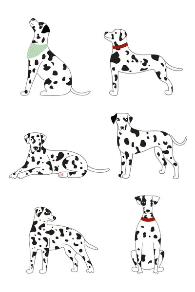 Colección de lindos perros dálmatas con manchas blancas sobre un fondo blanco — Vector de stock