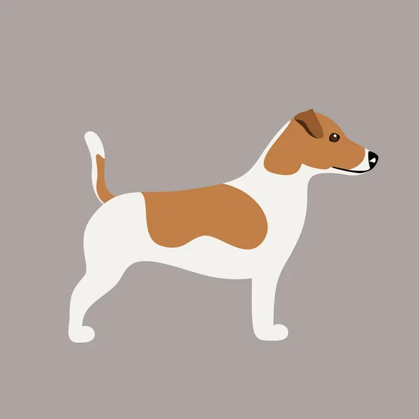 Perro Jack Russell Terrier de pura raza — Vector de stock