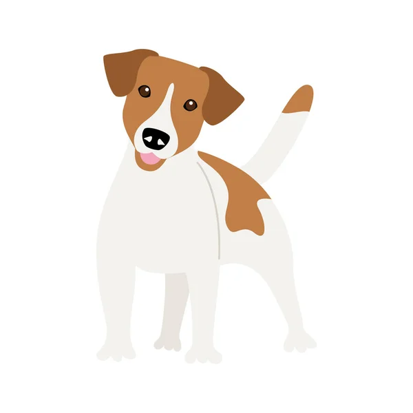 Perro Jack Russell Terrier de pura raza — Vector de stock