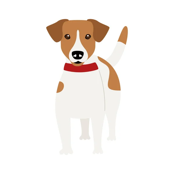 Perro Jack Russell Terrier de pura raza — Vector de stock
