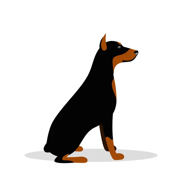 Vektor söt hund Doberman Pinscher — Stock vektor