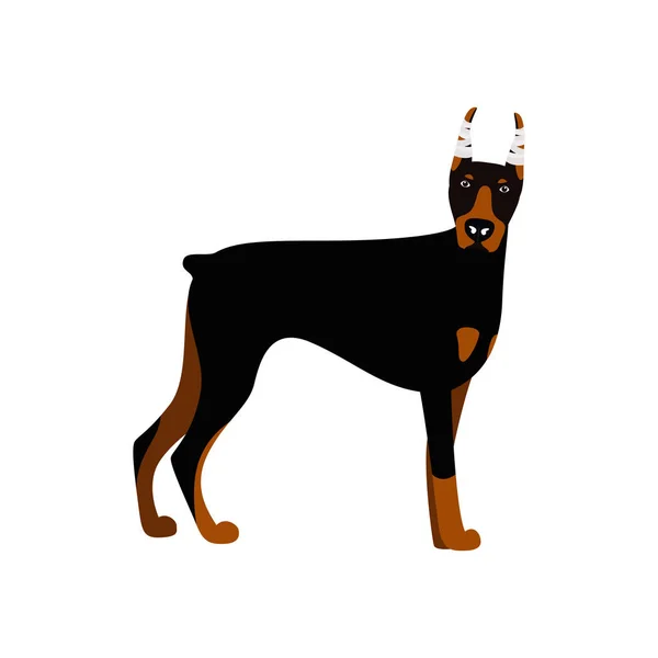 Vector chien mignon Doberman Pinscher — Image vectorielle