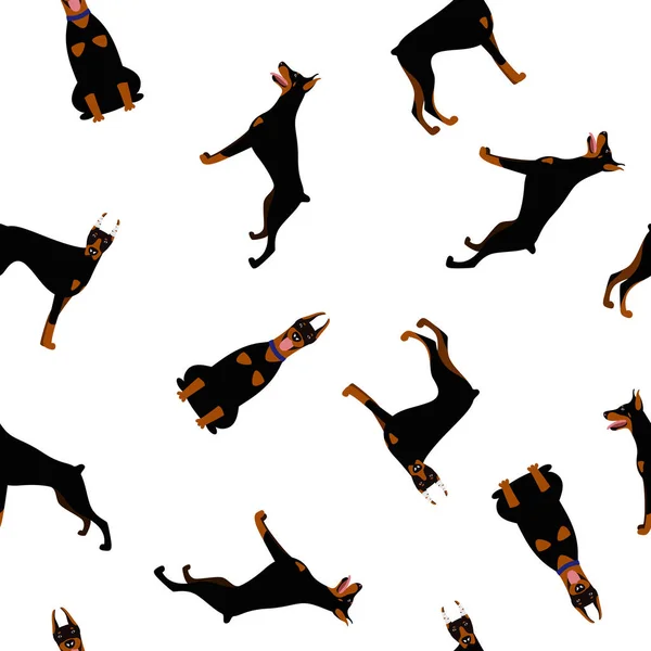 Patrón sin costuras de un conjunto de poses de la raza de perro Doberman Pinscher — Archivo Imágenes Vectoriales