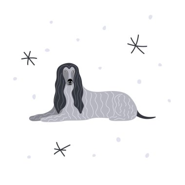 Köpek ırkı Afgan Tazı. Eski bir evcil hayvanın vektör illüstrasyonu