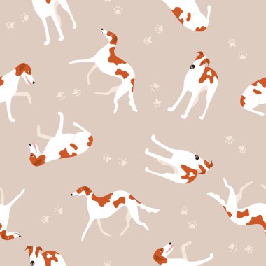 Rus tazısı ya da Borzoi köpek cinsinde kusursuz desenler.