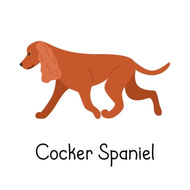 Amerikan ya da İngiliz Cocker Spaniel köpek cinsinden kusursuz desenler.