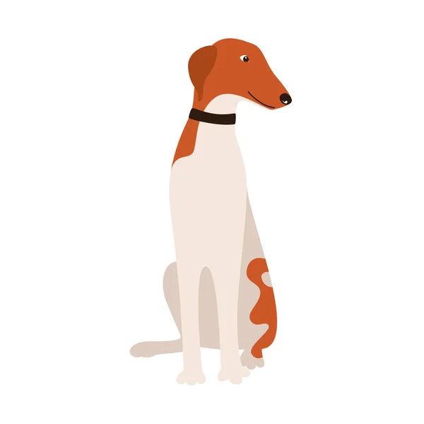 ロシアのグレイハウンド犬の品種 — ストックベクタ