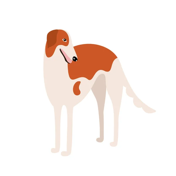 Raza de perro galgo ruso — Archivo Imágenes Vectoriales