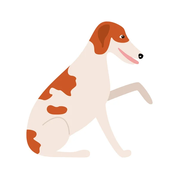 Raza de perro galgo ruso — Vector de stock