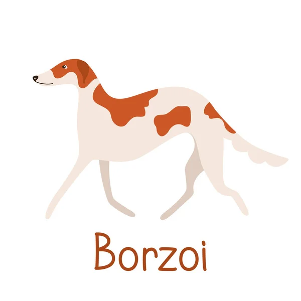 ボルゾイ犬の品種。ペットフラットのベクトルイラスト — ストックベクタ