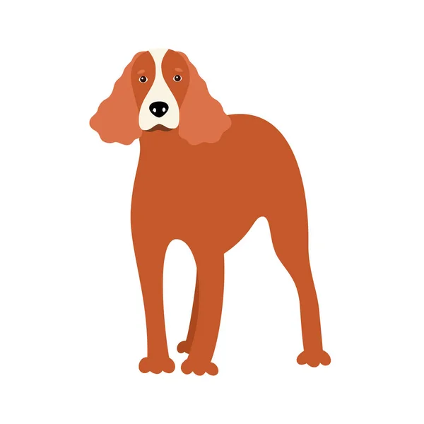 Patrón sin costura con canino Americano o Inglés Cocker Spaniel raza de perro — Vector de stock