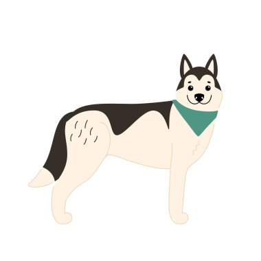 Şirin Sibirya Husky 'si neşeli bir pozda duruyor.