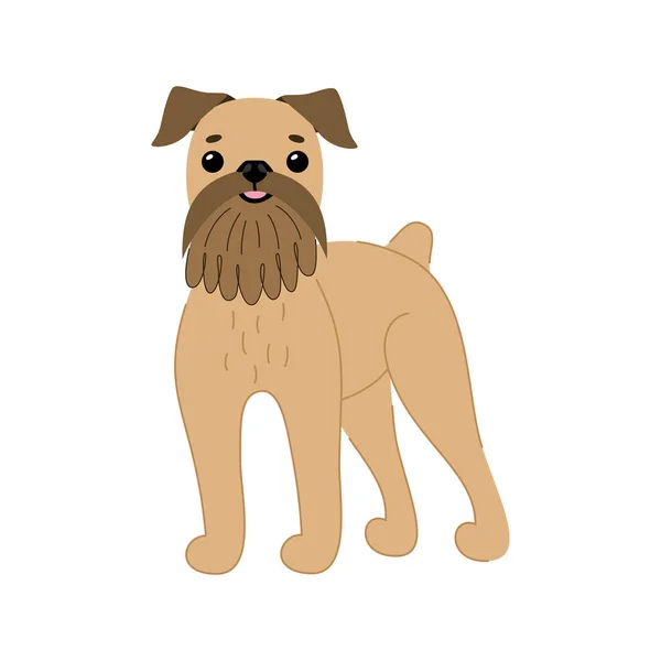 Hondenras schattig Griffon Brussel bruin — Stockvector