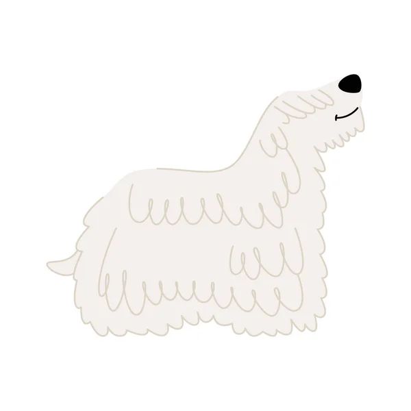 Roztomilý pes plemene Komondor nebo maďarský ovčák izolované na bílém pozadí — Stockový vektor