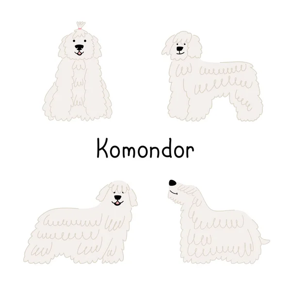 科莫多犬一组不同姿势的科莫多犬或匈牙利牧羊犬 — 图库矢量图片