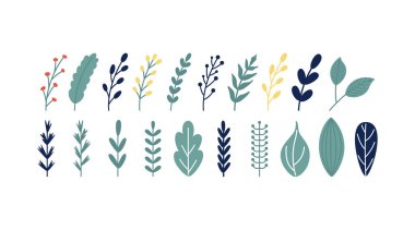 Yapraklar, dallar ve çiçekler.