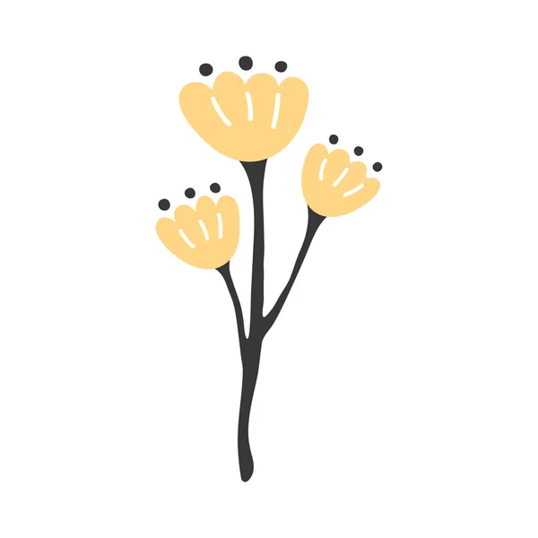 Sárga Vektor Izolált Virág Tavaszi Növény Virágzó Illusztrációja — Stock Vector