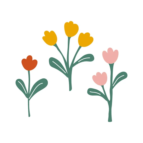 Playful Isolated Colored Spring Tulips Vector Set Flowers Illustration — Stock Vector