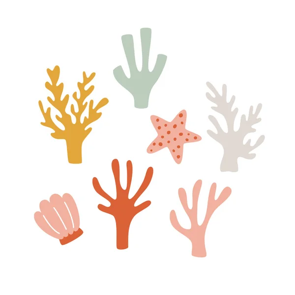 海底珊瑚和藻类 航海装饰是以贝壳和海星的形式手工淹死的 植物的病媒图解 — 图库矢量图片