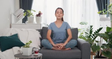 Genç Asyalı kadın kanepede günlük kıyafet giyer meditasyona başlar yoga yapar, sakinleşir ve ferahlatıcı yeni bir güne başlar evdeki kapalı salonda yeni bitkiler. Yaşam tarzı gençlik faaliyeti konsepti.