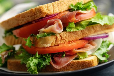 Tasty appetizing sandwich with ham and vegetables served on plate