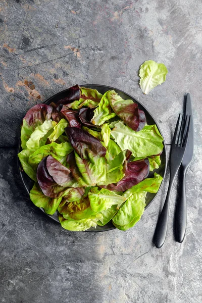 Tasty Fresh Salad Leaves Dark Plate Cutlery Concrete Background Top — Fotografia de Stock